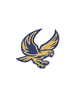 falcon logo